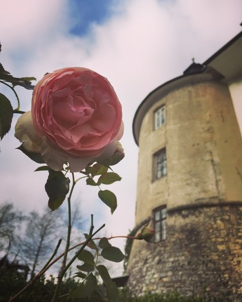 Brezplačen vstop za obiskovalke ob dnevu žena <em>Foto: Marija Demšar</em>