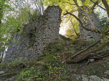 2.	Divja Loka, ostanki grajskega obzidja z glavnim vhodom, pogled s severa. Foto: Jože Štukl