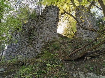 2. Divja Loka, ostanki grajskega obzidja z glavnim vhodom, pogled s severa. Foto: Jože Štukl