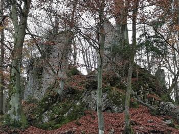 Divja Loka, pogled na današnje stanje gradu s severne smeri. <em>Foto: Jože Štukl</em>