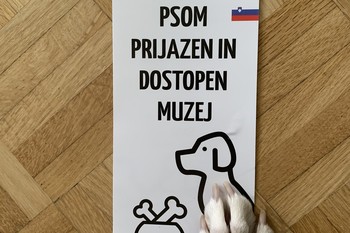 Psom dostopen muzej