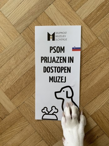 Psom dostopen muzej