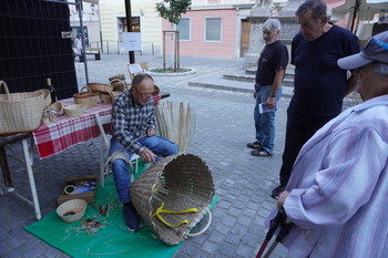 Odprtje nove razstave v Galeriji na gradu
