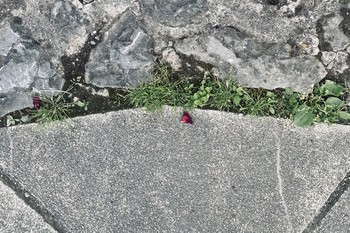 Portreti Škofje Loke <em>Foto: Gloria L.</em>