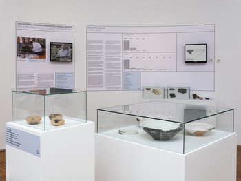 Primer Bukovščica <em>Foto: Lucija Rosc</em>