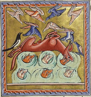 Lisica hlini smrt, da ujame svoj plen. Bestiarij iz Aberdeena, MS 24, fol 16 r, 13. stoletje. Hrani Aberdeen University Library, Združeno kraljestvo. <em>Foto: http://bestiary.ca/beastimage/img100408.jpg </em>