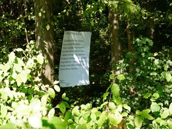 Tomo Savić-Gecan, Brez naslova, 2025, Zagreb.