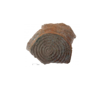 Odtis pletarskega izdelka (košare ali modela za oblikovanje posod) na odlomku žgane gline (najdišče Tell Sabi Abyad, Sirija; ok. 6300 pr. n. št.). <em>Foto: Univerza v Leidnu</em>