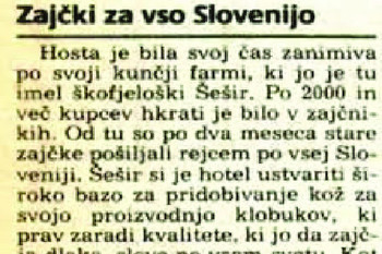 Zajčki za vso Slovenijo ©Gorenjski glas, 30. 10. 1987.