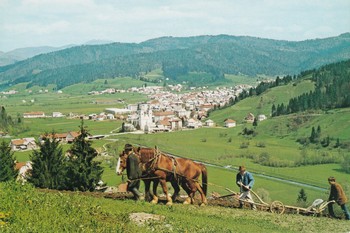 Panoramski pogled na Žiri, spredaj oranje s konji, 1973. ©Zasebna last