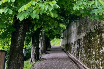 Portreti Škofje Loke <em>Foto: Silva F.</em>