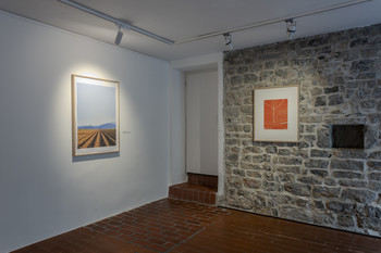 Pogled na razstavo <em>Foto: Lucija Rosc</em>