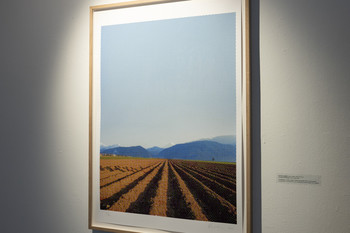 The Artist Is Not Present, colour screen print, 2025 <em>Photo: Lucija Rosc</em>