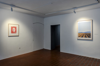 Exhibition view <em>Photo: Lucija Rosc</em>