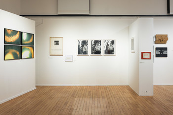 Photos of the exhibition <em>Foto: Lucija Rosc</em>