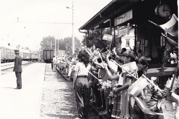 Vlak bratstva in enotnosti, 50. leta