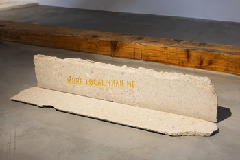 Tomaž Furlan, More Local Than Me, 2021 <em>Foto: Lucija Rosc</em>