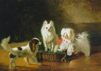 Johann Friedrich Wilhelm Wegener, Pritlikavi španjel, mali špiz in maltežan ob košari, 93,4 x 129,5 cm, olje na platnu, 1855. <em>Foto: https://en.wikipedia.org/wiki/Lap_dog#/media/File:Wegener01.jpeg</em>