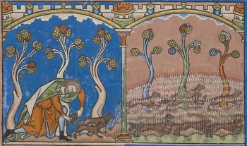 Samson lisicam zveže repe in zažge filistejska polja. MS M.638, fol. 14 v, sredina 13. stoletja. Hrani Morgan Library & Museum, New York. <em>Foto: https://host.themorgan.org/facsimile/m638/default.asp?id=28&width=100%25&height=100%25&i</em>