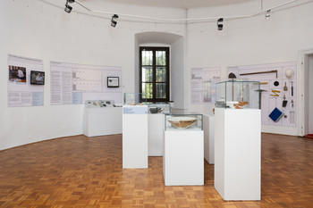 Primer Bukovščica <em>Foto: Lucija Rosc</em>