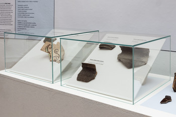 Primer Bukovščica <em>Foto: Lucija Rosc</em>