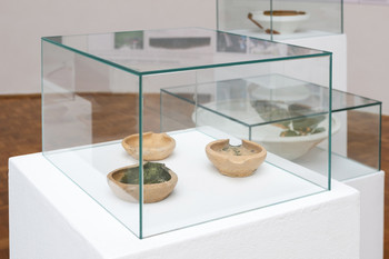 Primer Bukovščica <em>Foto: Lucija Rosc</em>