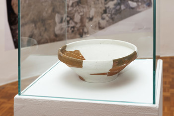 Primer Bukovščica <em>Foto: Lucija Rosc</em>