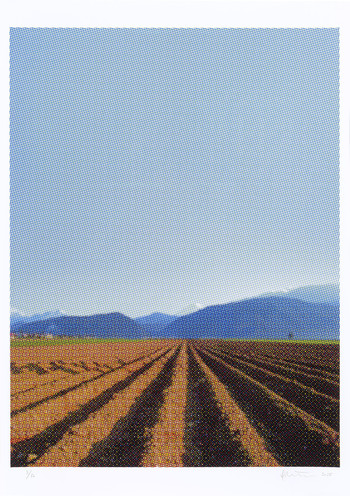 Oliver Pilić, Umetnik ni prisoten, 2025, barvni sitotisk <em>Foto: Jaka Babnik, arhiv MGLC</em>