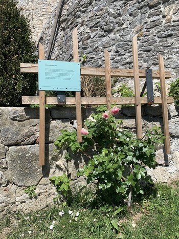 Tabla, ki obiskovalce obvešča o izvajanju projekta Sožitje na grajskem vrtu. <em>Foto: Fototeka Loškega muzeja</em>