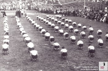 Vrsta naraščajnikov loškega Sokola kmalu po 1. svetovni vojni (okrog leta 1923) <em>Foto: Fototeka Loškega muzeja Škofja Loka</em>