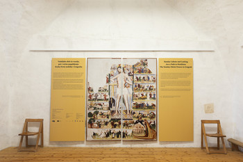 Exhibition view <em>Photo: Lucija Rosc</em>