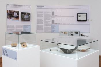 The Bukovščica Case Study <em>Photo: Lucija Rosc</em>