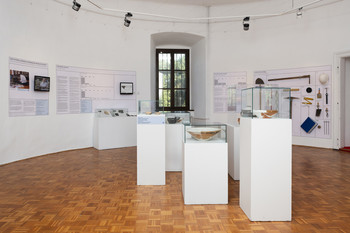 The Bukovščica Case Study <em>Photo: Lucija Rosc</em>