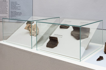 The Bukovščica Case Study <em>Photo: Lucija Rosc</em>