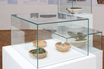 The Bukovščica Case Study <em>Photo: Lucija Rosc</em>