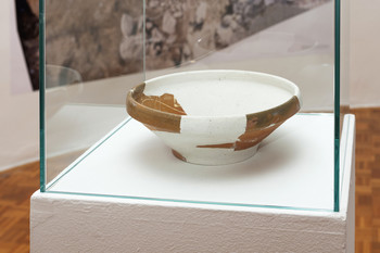 The Bukovščica Case Study <em>Photo: Lucija Rosc</em>