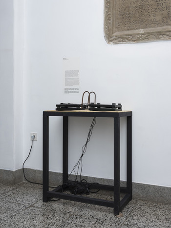 Tomaž Furlan: Book, 2010, Škofja Loka Museum <em>Photo: Lucija Rosc</em>