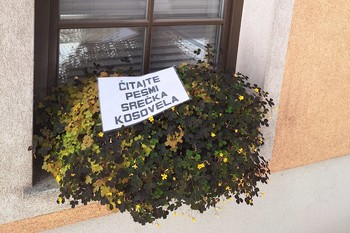 Poetic Agitation: Read the Poems of Srečko Kosovel, 2025, at various locations throughout the city <em>Foto: Darko Simičić Photo Archive</em>