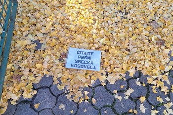 Poetic Agitation: Read the Poems of Srečko Kosovel, 2025, at various locations throughout the city <em>Foto: Darko Simičić Photo Archive</em>