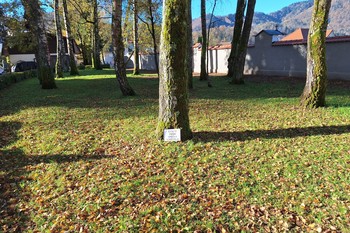 Poetic Agitation: Read the Poems of Srečko Kosovel, 2025, at various locations throughout the city <em>Foto: Darko Simičić Photo Archive</em>