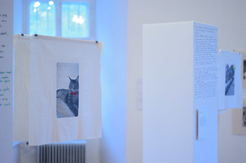 Zavod Tri: Embroidered Stories <em>Photo: Janez Pelko</em>